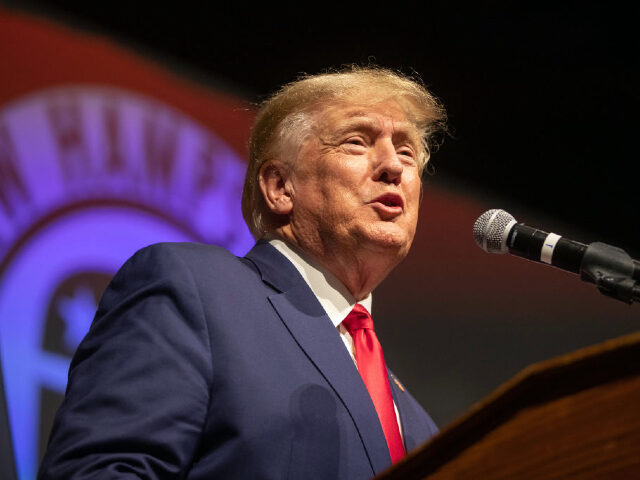 Poll: Trump Remains Most Favorable Republican in Potential 2024 Field